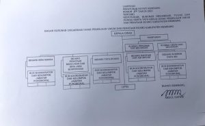 Stuktur Organisasi DPUTARU